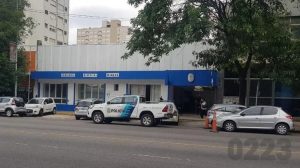 Inseguridad en el centro de Mar del Plata: asaltaron a un hombre y se llevaron más de un millón de pesos