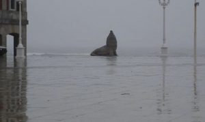 La Feliz entre lluvias y viento: El clima en Mar del Plata