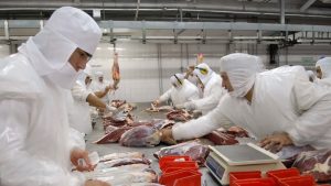 Argelia volverá a comprar carne con hueso a la Argentina