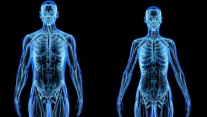 Como impacta la ira en el corazón, cerebro e intestinos