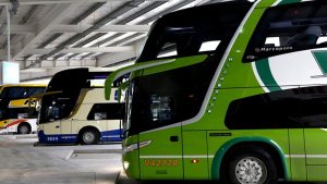 Mar del Plata: por los feriados de Carnaval ingresaron un 12% más de colectivos