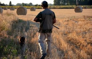Tragedia en Kansas: un hombre fue asesinado de un disparo por su propio perro