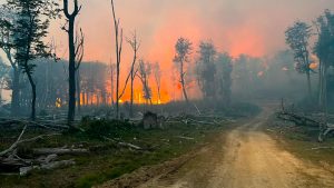 Incendios forestales en Tierra del Fuego: “La situación está descontrolada”