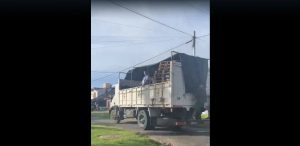 Un camión chocó a varios autos estacionados durante los festejos en Mar del Plata por el título en el Mundial Qatar 2022
