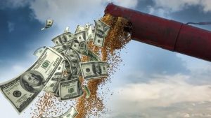 Dólar soja: nuevas pautas para mejorar la liquidación