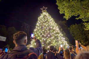 Mar del Plata: Encenderán el árbol de Navidad en Plaza San Martín con shows musicales