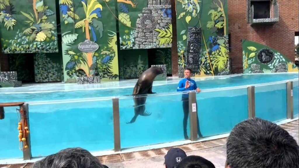 AQUARIUM.jpg
