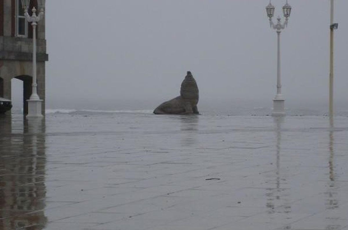 CLIMA_copy.jpg