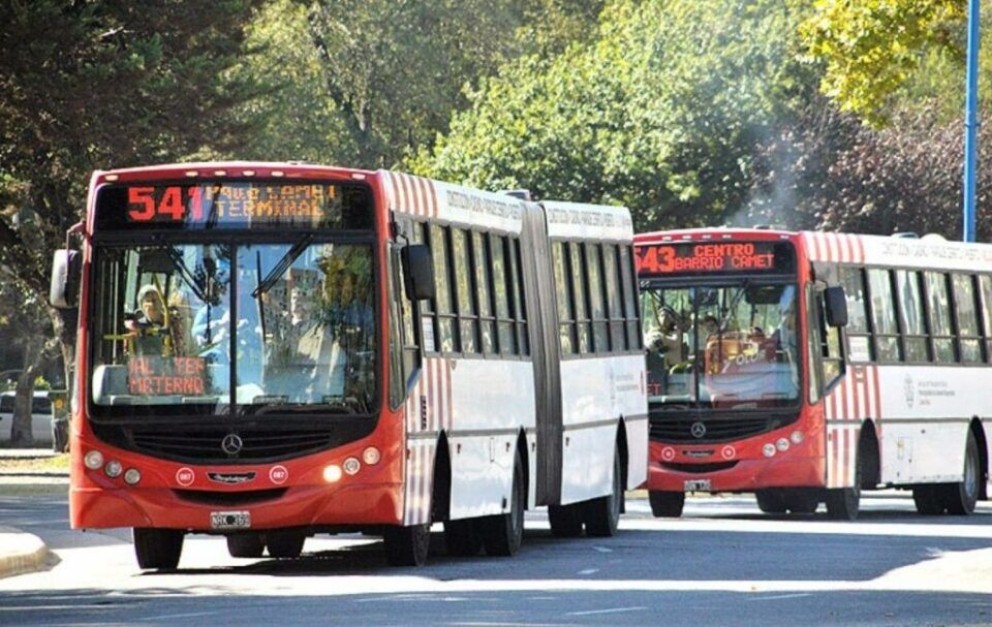 COLECTIVO