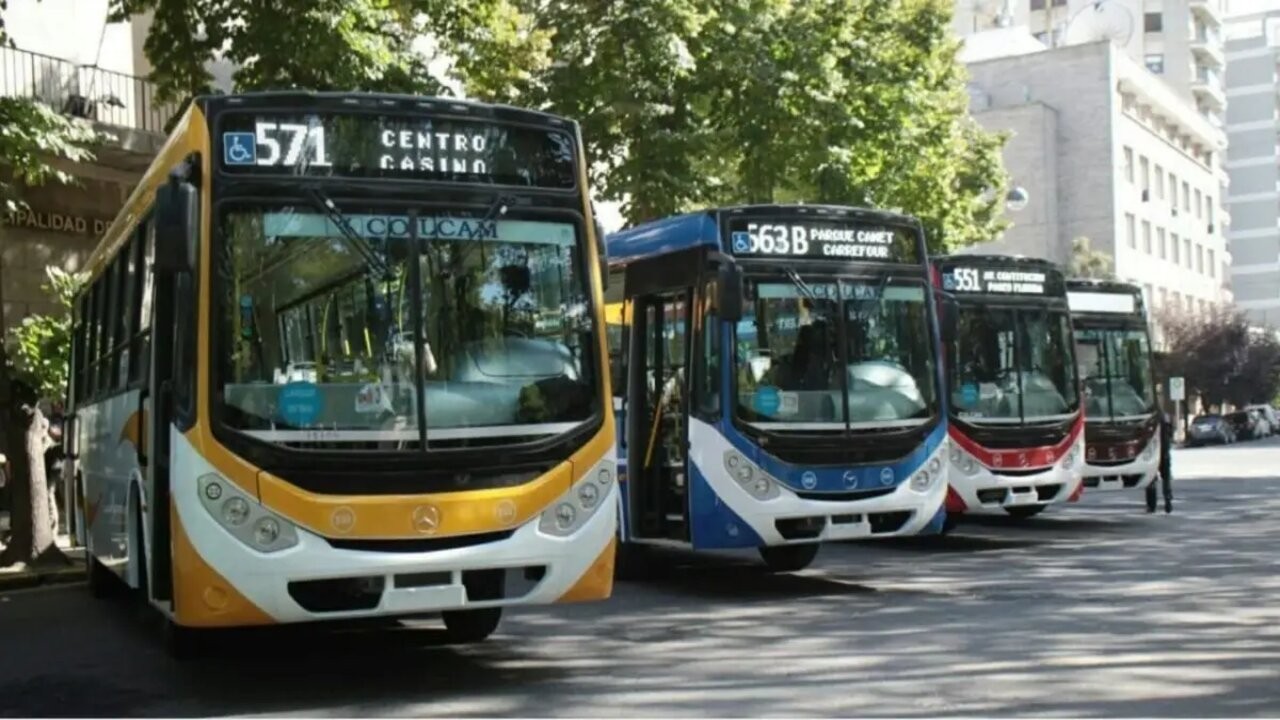 Colectivos