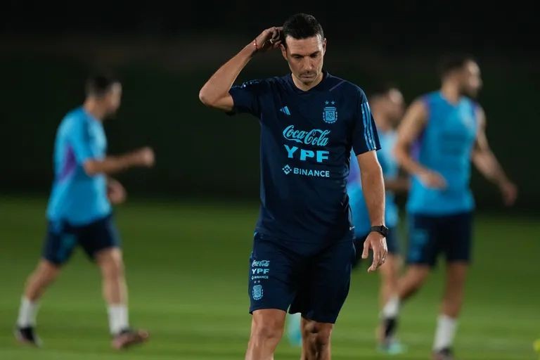 SCALONI.jpg