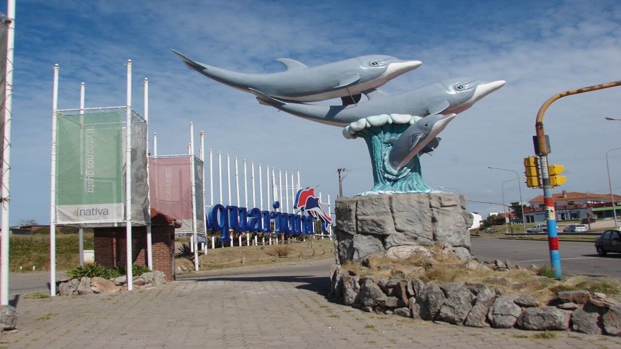 aquarium