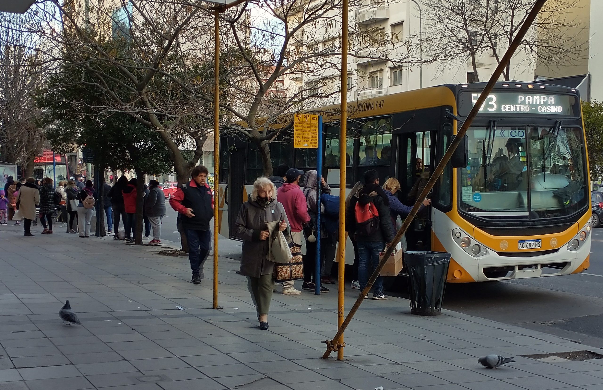 colectivo.jpg