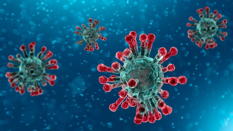 virus.jpg