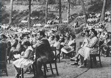 viña_del_mar_copy.jpg